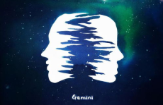 大智若愚的星座,星座中的智慧隐藏者