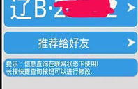 大连车辆违章查询,一键掌握行车记录，安全出行无忧