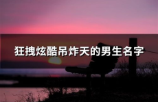 炫酷网名,揭秘网络世界的独特风采