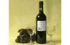 杰卡斯红酒,澳大利亚新世界佳酿的传奇与魅力