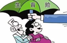 生育保险政策,保障女性权益，助力家庭幸福