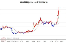 神州数码股票,解码科技巨头的新篇章