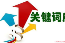 seo专家,打造高效关键词策略，提升网站排名秘诀
